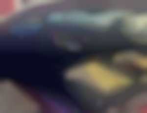 Predam