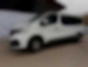Renault Trafic Kombi Van dCi 120 L2