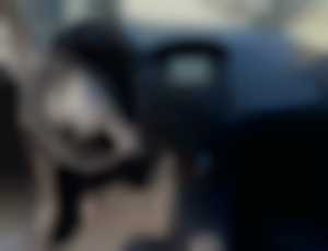 Ford Focus 1.5 TDCi EcoBlue Edition AT