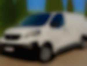 Peugeot Expert Long L3H1 Možný odpočet DPH