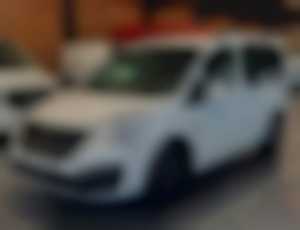 Peugeot Partner 1,6i-16v Tepee