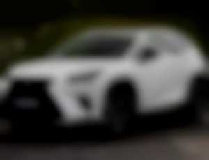 Lexus NX 300h Limited Edition E-CVT E-Four