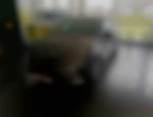 Renault Clio generation ECO-G 100