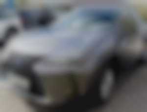 Lexus UX 250h Business CVT FWD