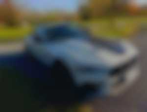 Ford Mustang 5.0 Ti-VCT V8 MACH 1 AT