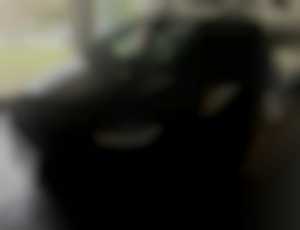 Chrysler Pacifica Touring-L S-Appearance AWD