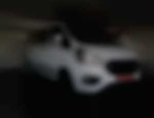 Ford Transit Custom 2.0 TDCi EcoBlue 130 Trend L2 ...