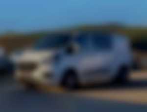 Ford Transit Custom 2.0 TDCi EcoBlue 130 Trend L2 ...