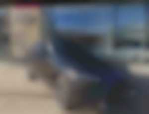 Lexus RX RX 450h AWD Luxury