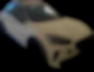 Cupra Formentor 2.0 TSI 310k 4Drive DSG Veloz