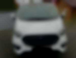 Ford Transit Custom Transit Kombi 2.0 TDCi EcoBlue 130 Trend L2 T340 96kW13... 