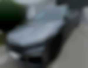 BMW Rad 7 745 Le Xdrive Premier  Diplomat Verzia