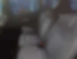 Ford S-Max 2.0 TDCi Trend