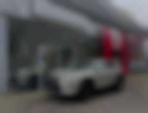 Lexus RX 2.0L Turbo 6 AT (4x4) LIMITED EDITION