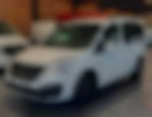 Peugeot Partner 1,6i-16v Tepee