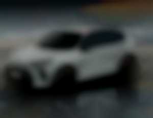 Cupra Terramar 2,0 TSI 204 4D 7DSG 