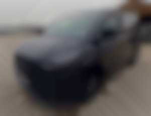 Ford Tourneo Custom 2.0 TDCi EcoBlue Family L1 AT