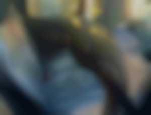 Land Rover Range Rover Sport 3.0L V6 