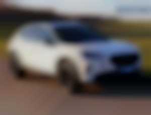 Cupra Formentor 2.0 TSi DSG