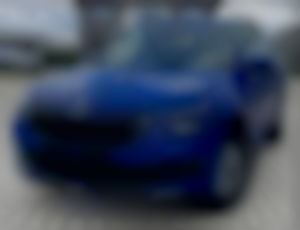 Škoda Kamiq 1.0TSI DSG Top Stav