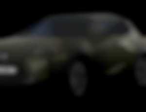 Lexus UX 300h BUSINESS EDITION (2x4)