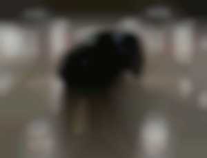 Volkswagen Touareg 3.0TDI 150kW