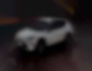 Cupra Formentor 2.0 TSI VZ DSG-7 333K 