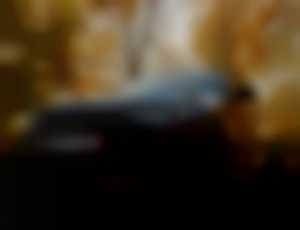 BMW Rad 5 Touring 540d xDrive AT