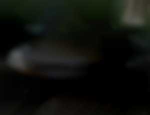 Volkswagen Jetta 2.0