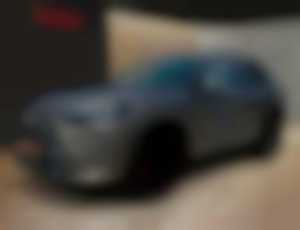 Cupra Terramar Terranar 2,0 TSI 204 4D 7DSG 