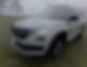 Škoda Kodiaq SUVHatchback 110kw Automat 