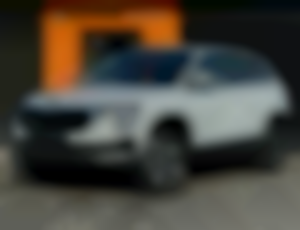 Škoda Karoq 2.0 Tdi 4x4 DSG 