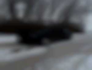 Audi a3 8p 1.9 tdi 77kw