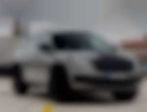 Škoda Kodiaq 2.0 TDI SCR RS DSG 4x4 176kW239HP A7 