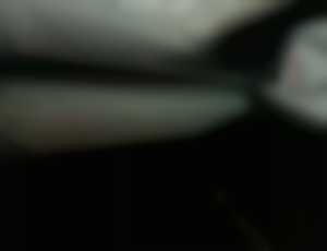 Dacia Sandero Stepway Extreme Eco-G 120 auto